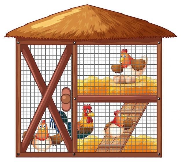 How Big Of A Chicken Coop For 20 Chickens 
