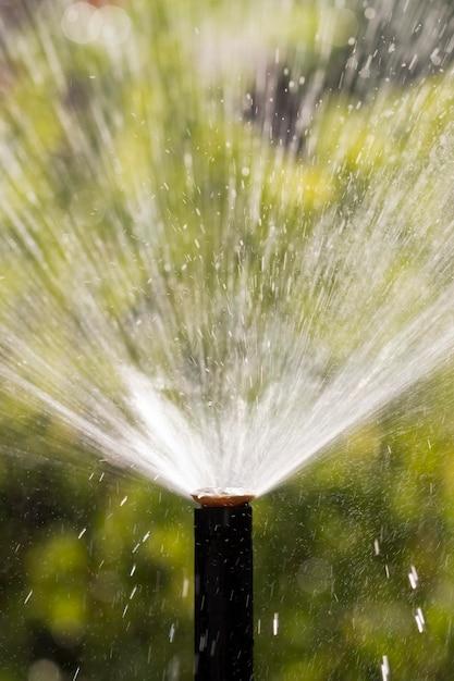  How Far Do Sprinkler Heads Spray 