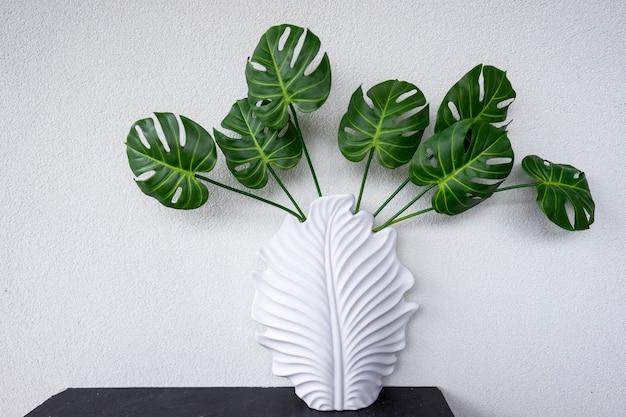 How Fast Does Split Leaf Philodendron Grow 