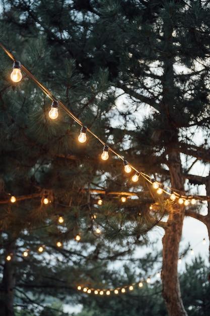  How High Should Outdoor String Lights Be 