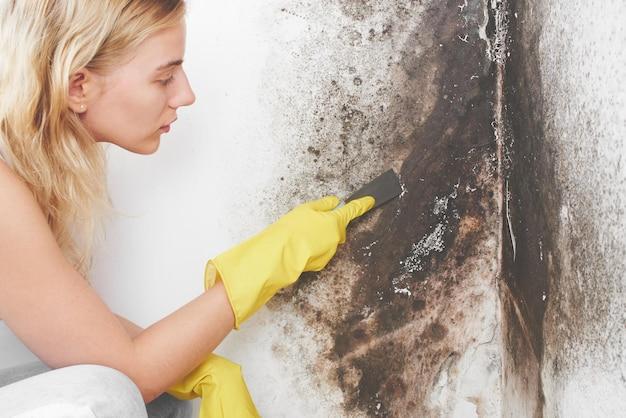 How Long Does It Take For Bleach To Kill Mold 