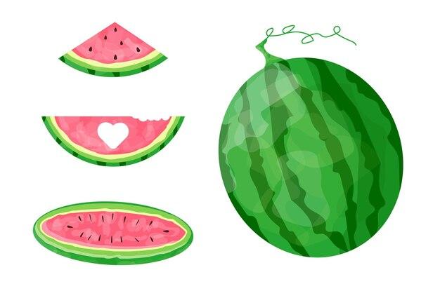  How Long Does It Take For Watermelon To Work 