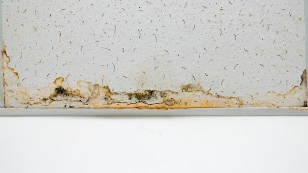 How Long Should Concrete Countertops Cure Before Sealing 