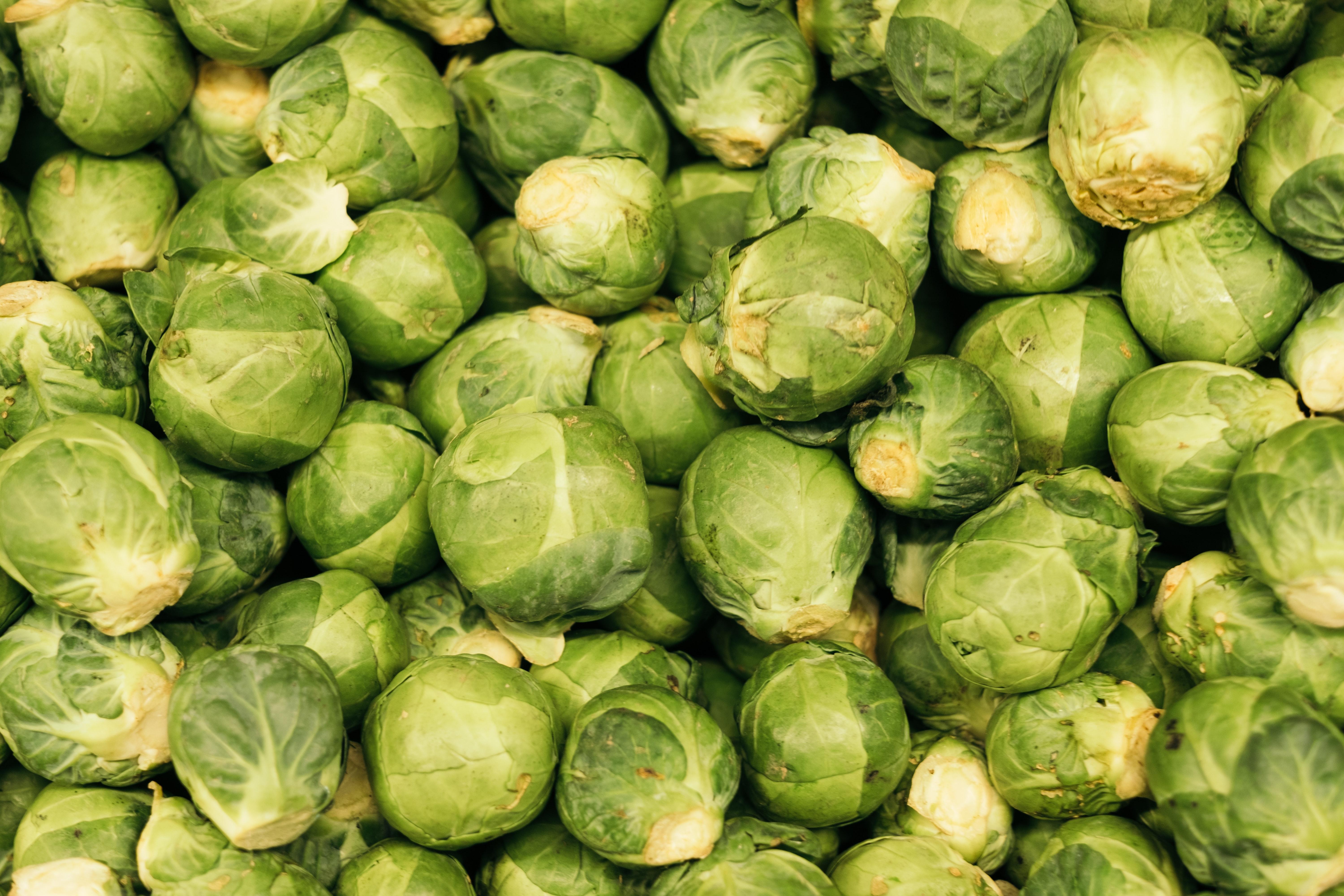 How Much Room Do Brussel Sprouts Need To Grow 
