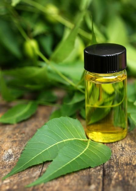 How Often Can You Use Neem Oil On Plants 