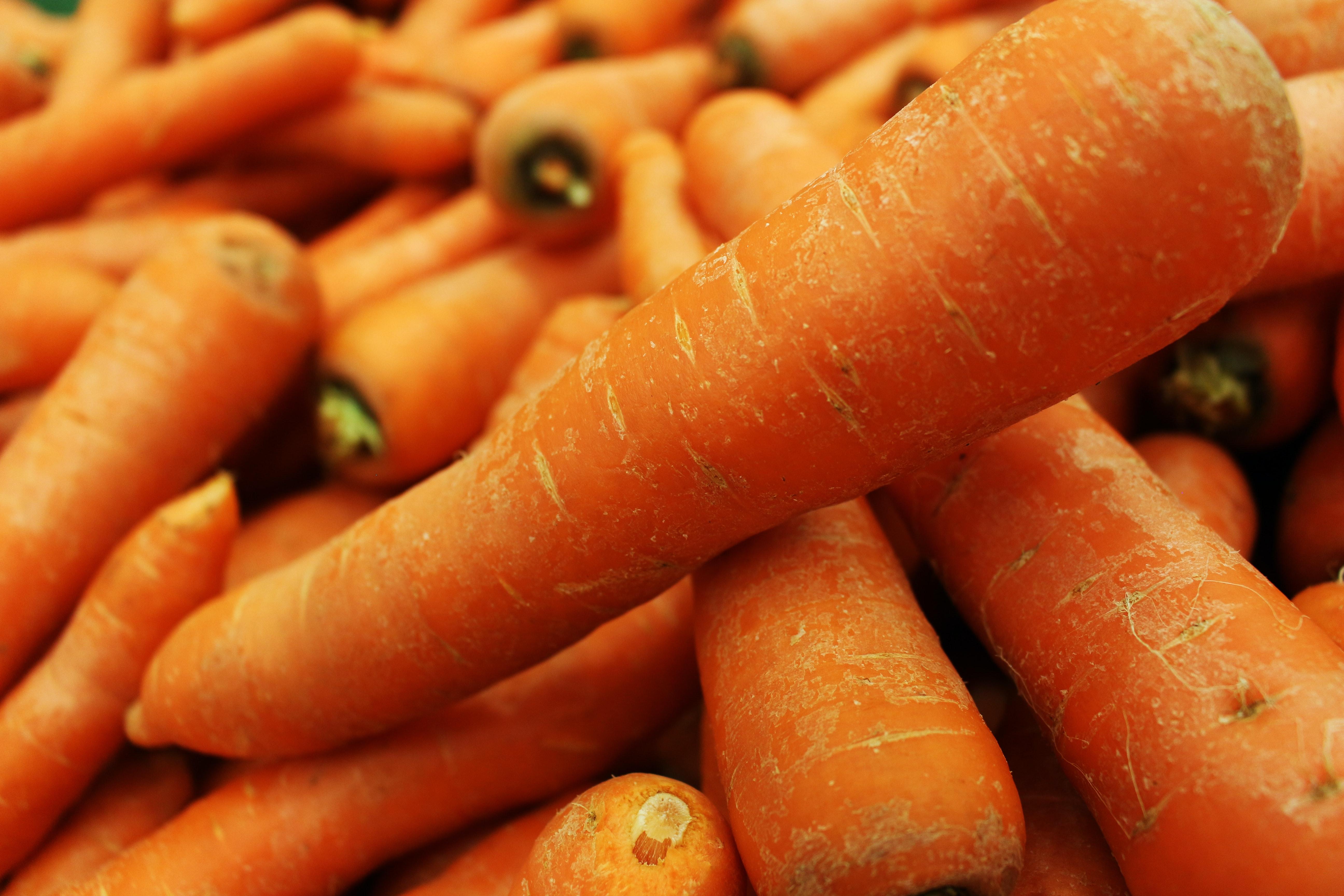  How Often Should You Water Carrots 