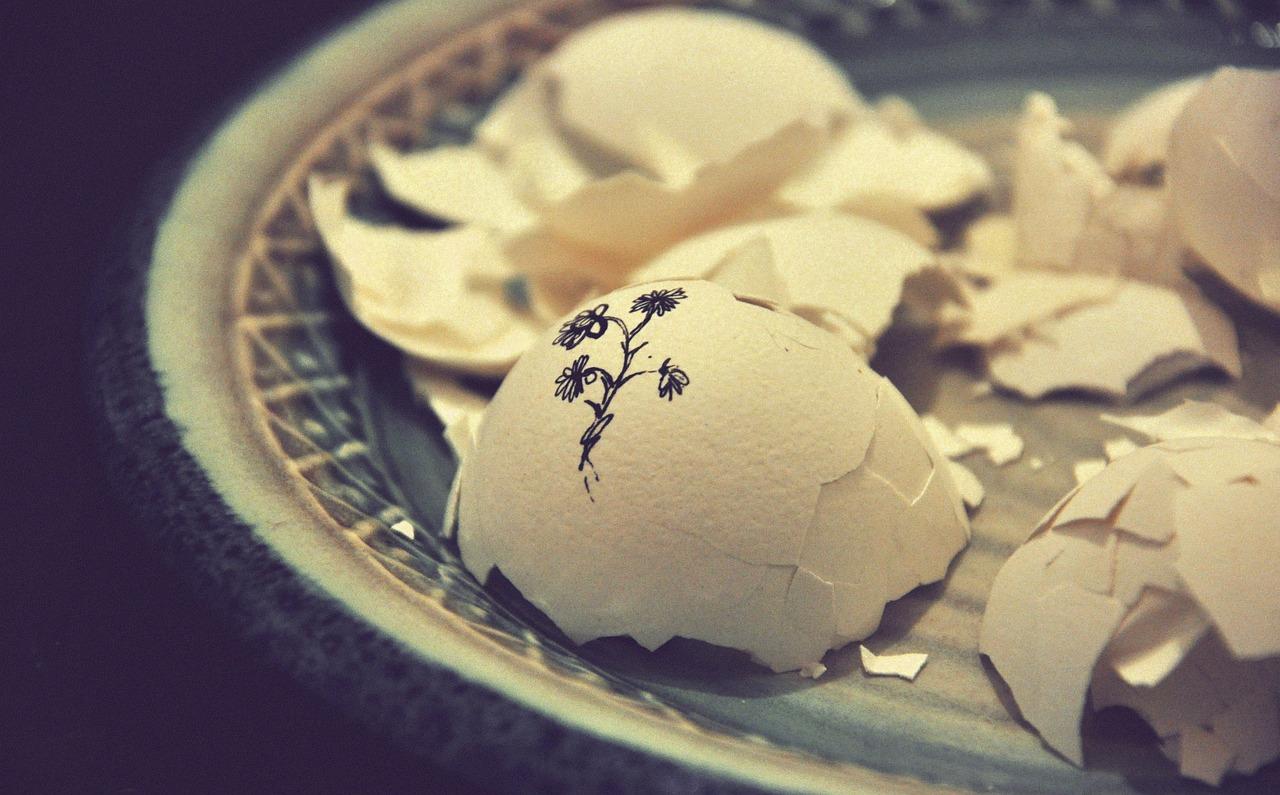  How To Clean Egg Shells For Crafts 