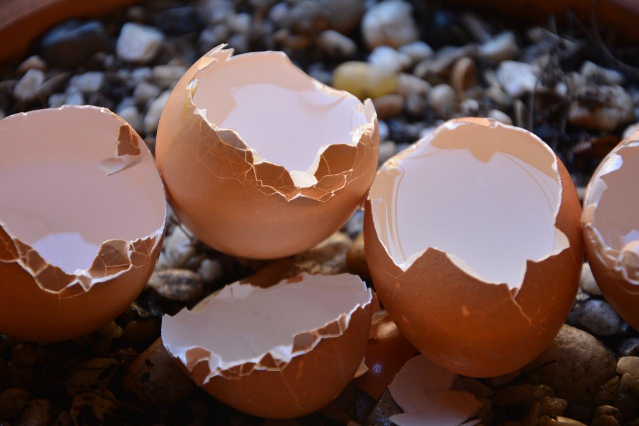  How To Clean Egg Shells For Crafts 