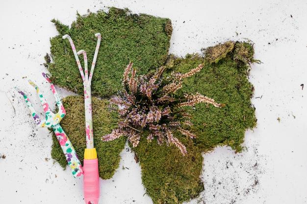  How To Glue Moss To Wood 