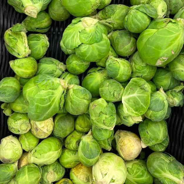 How To Grow Brussel Sprouts From Scraps 