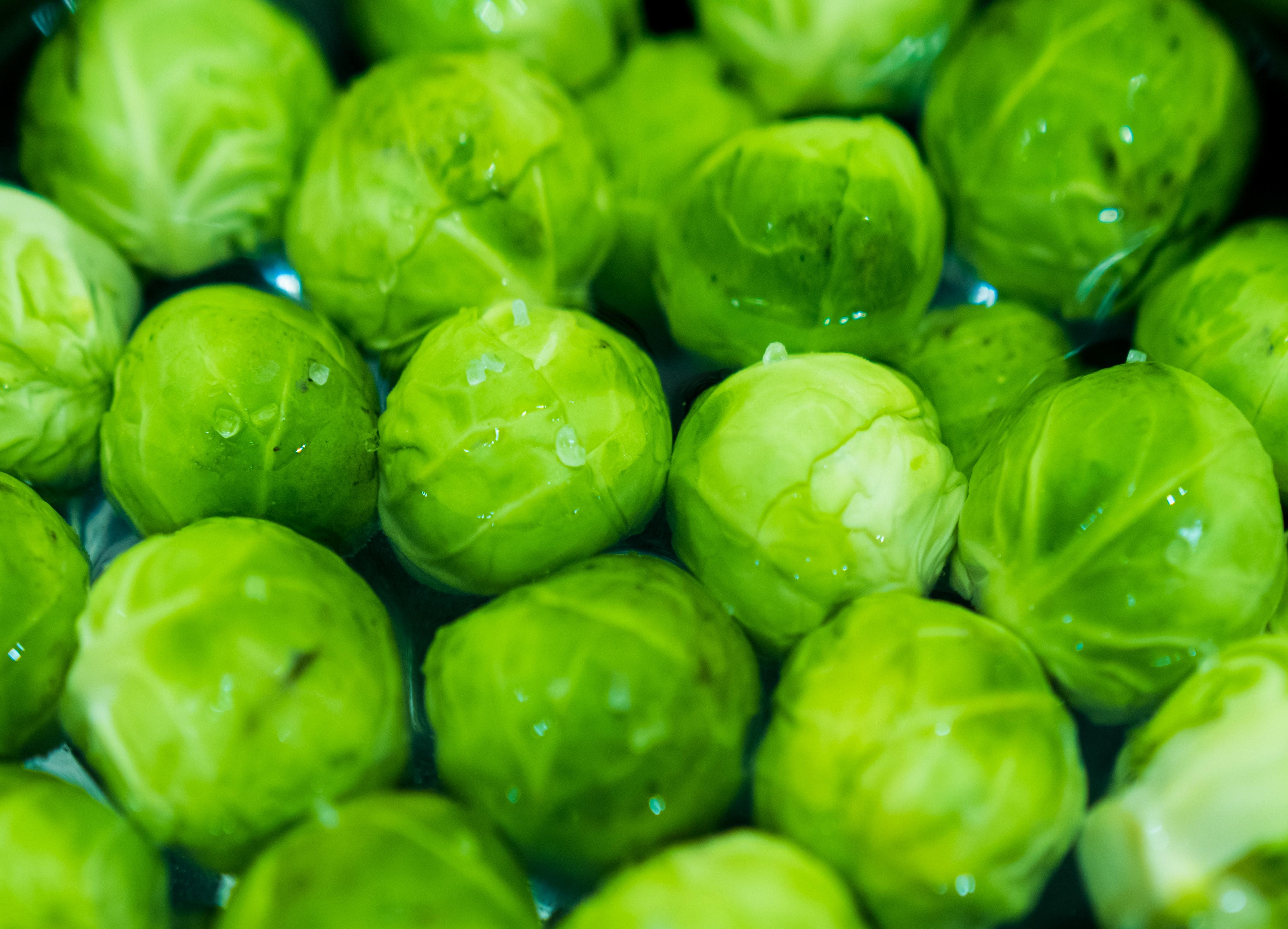 How To Grow Brussel Sprouts From Scraps 