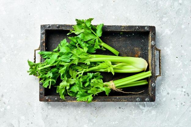 How To Keep Celery Fresh Without Foil 
