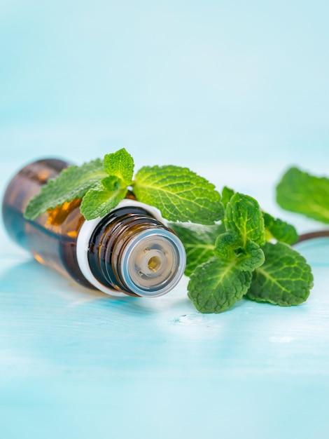 How To Make Mouse Repellent With Peppermint Oil 