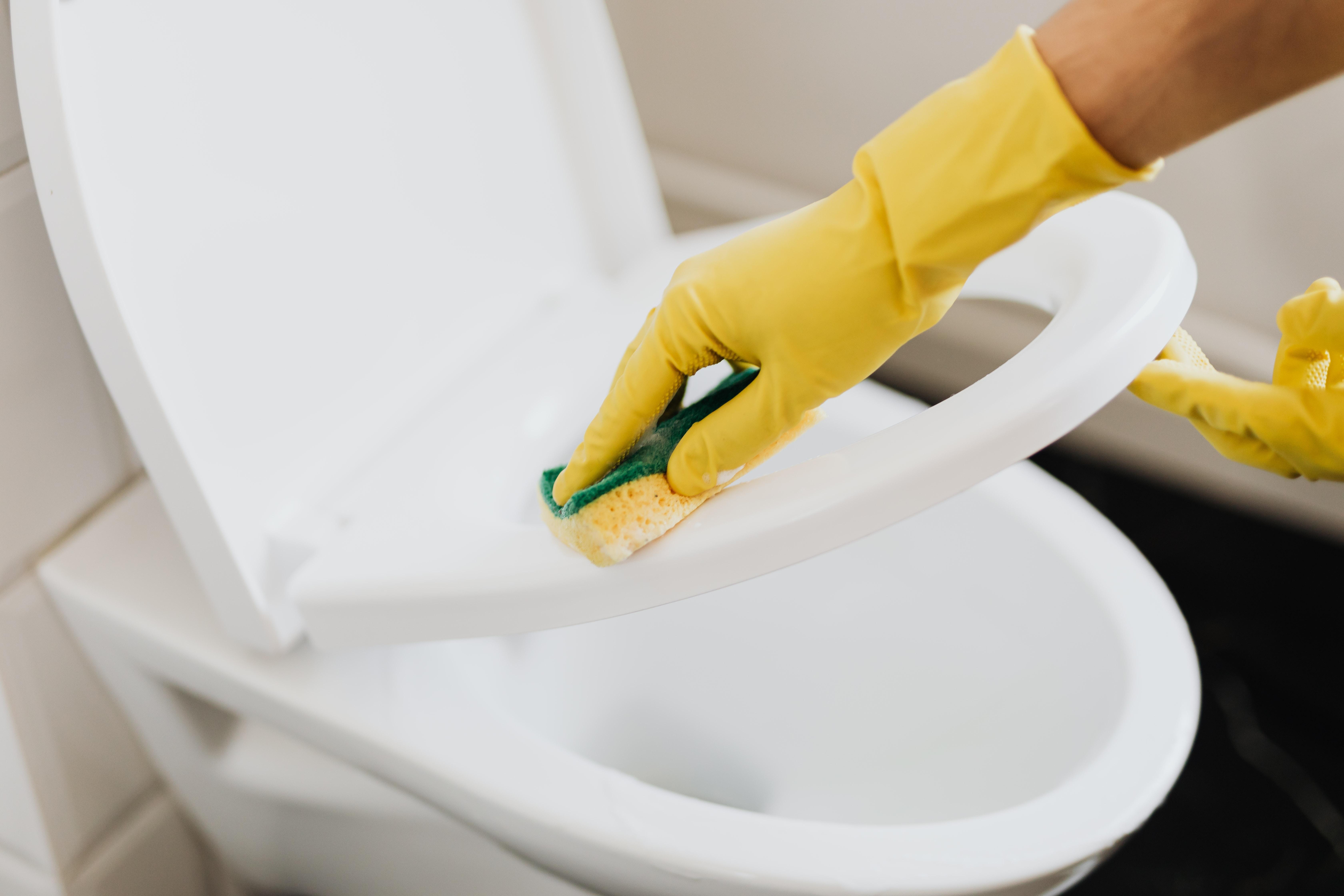 How To Remove Poop Stains From Toilet Seat 