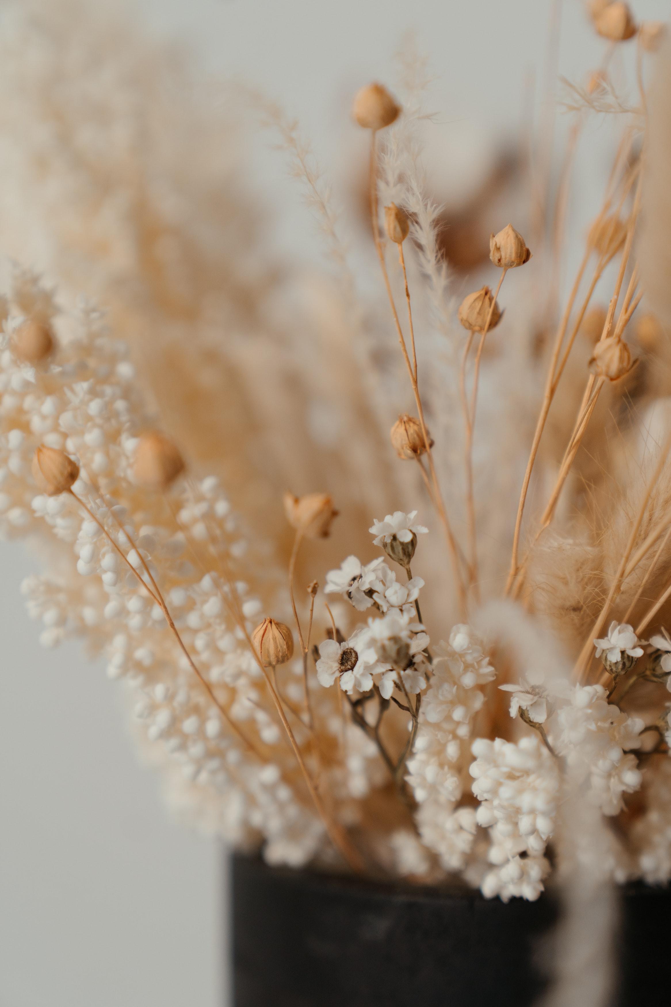  How To Use Dried Flowers 