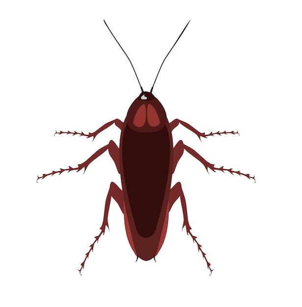 Is Cockroach Spray Harmful To Pets 