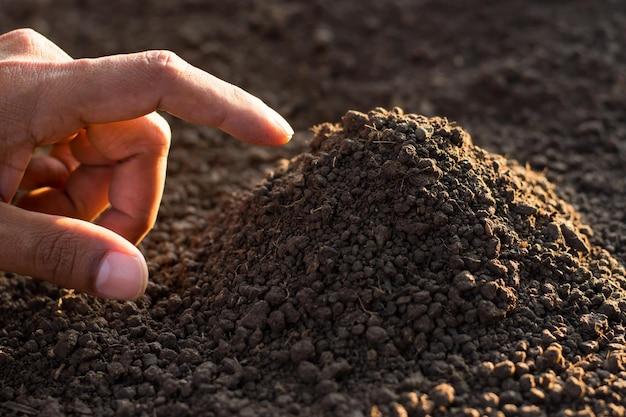 Is Loam The Same As Potting Soil 