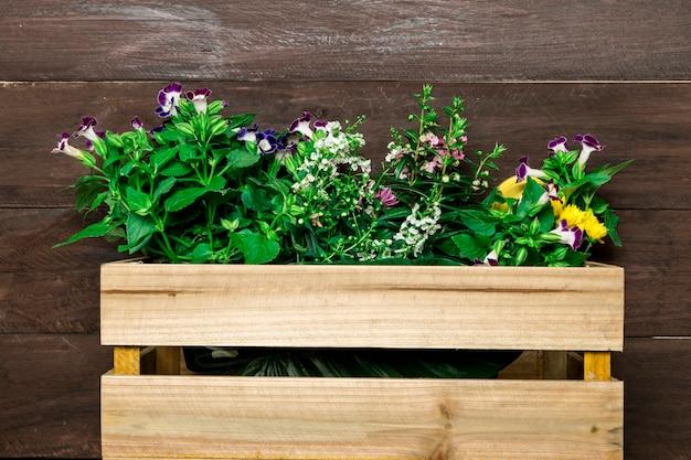  Should I Stain The Inside Of A Planter Box 