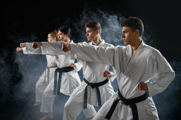Should Martial Arts Be Banned 