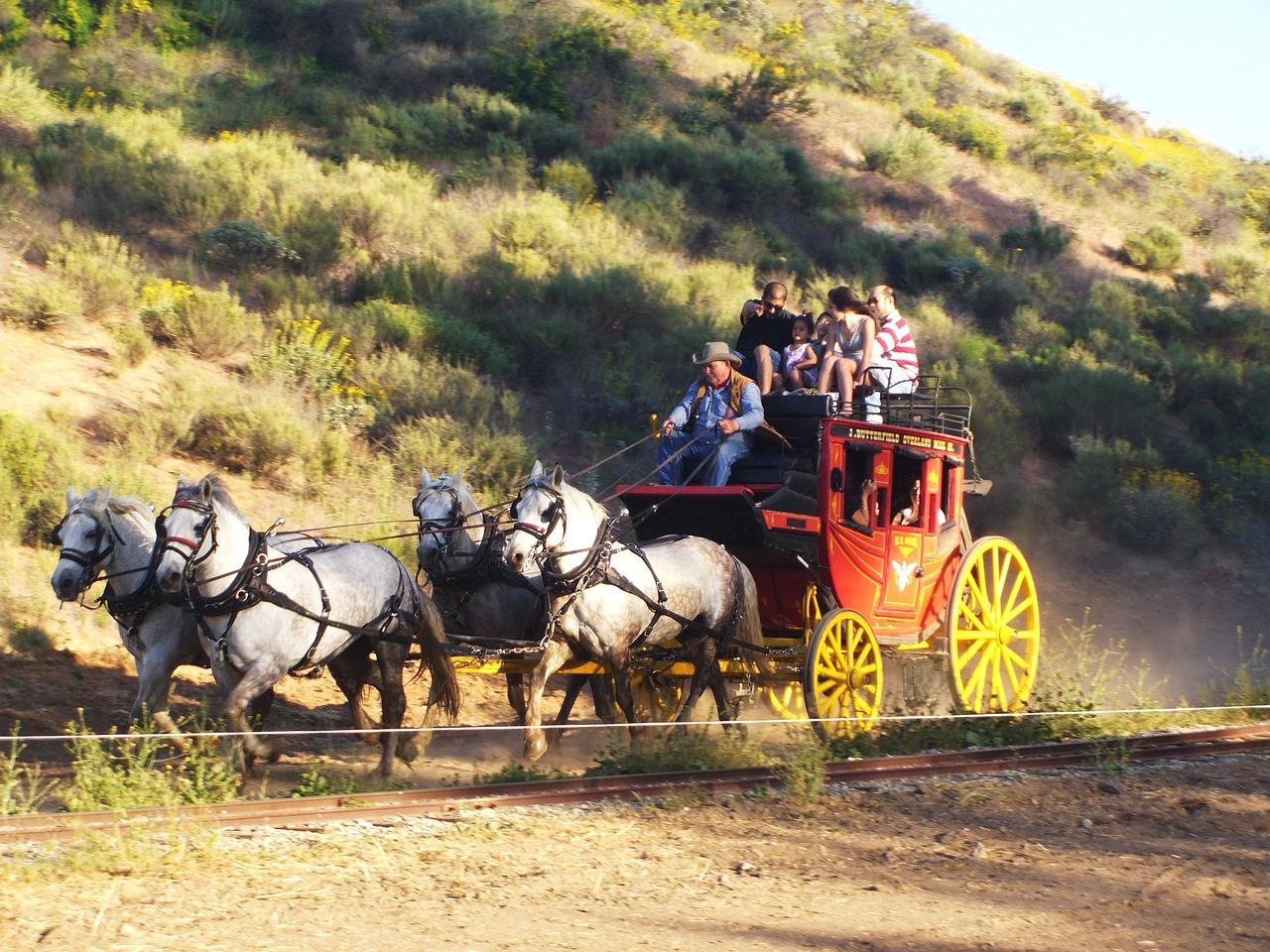 What kind of horses pull the Wells Fargo stagecoach? 