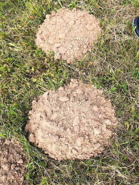  What Causes Mounds Of Dirt On The Lawn 