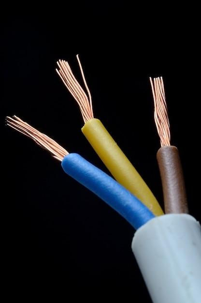  Is The Brown Or Blue Wire Neutral 