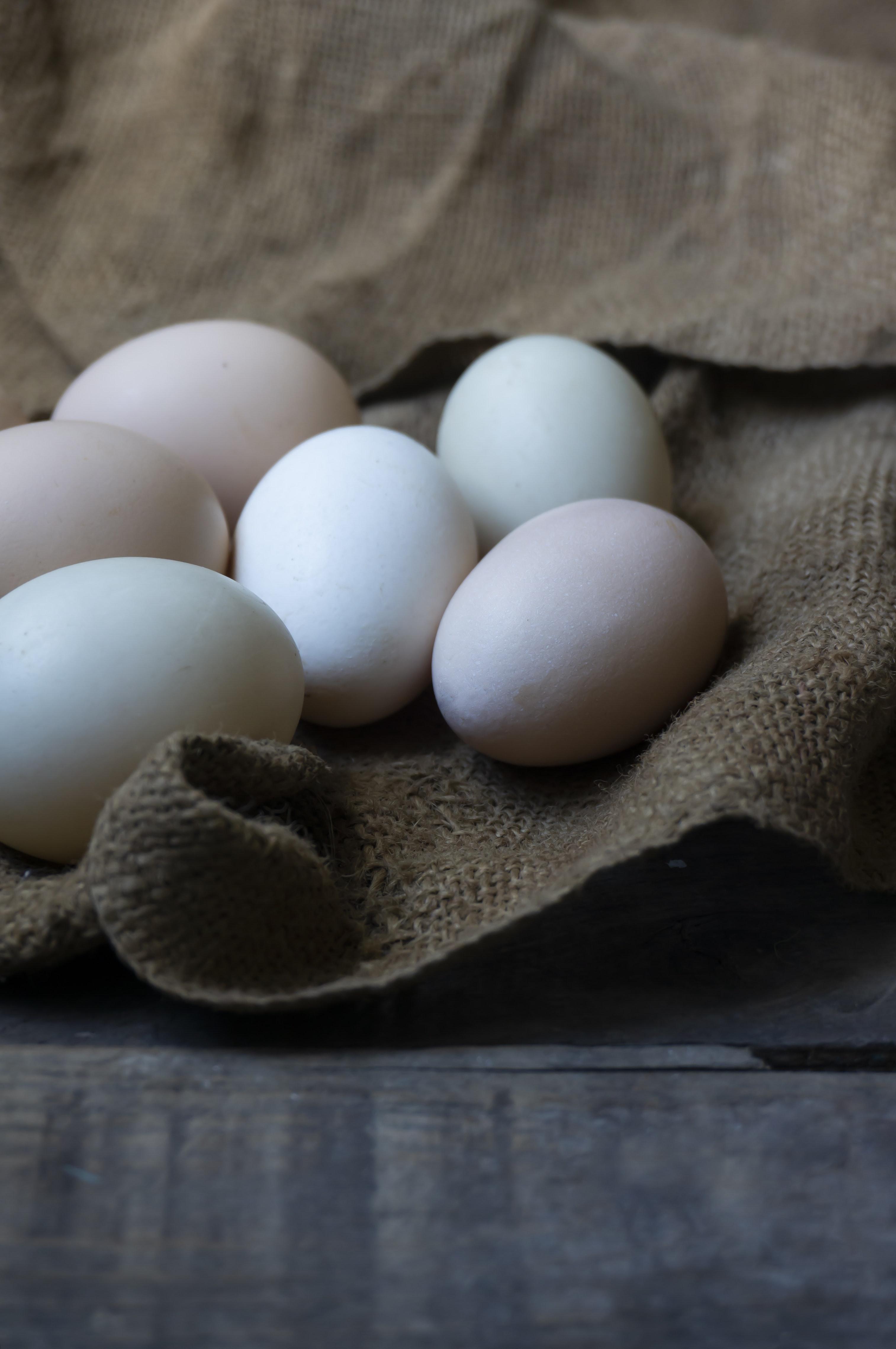What Do Pekin Duck Eggs Look Like 