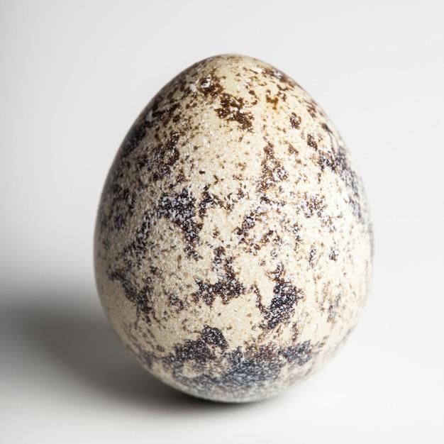 What Does A Dragon Egg Look Like 