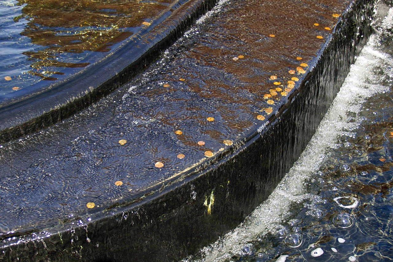 What Happens If You Put Too Much Clarifier In Your Pool 