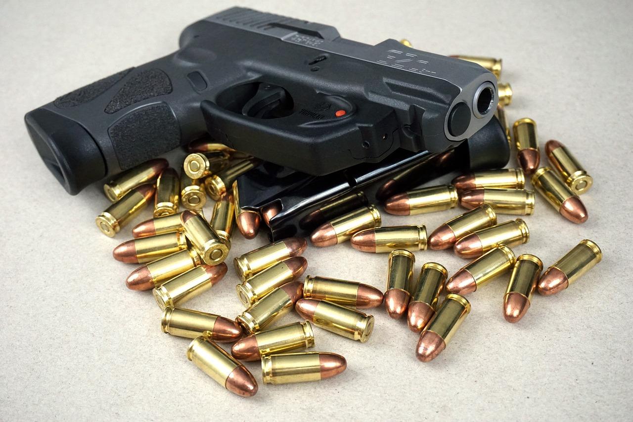 What Magazines Will Fit A Taurus G2c 
