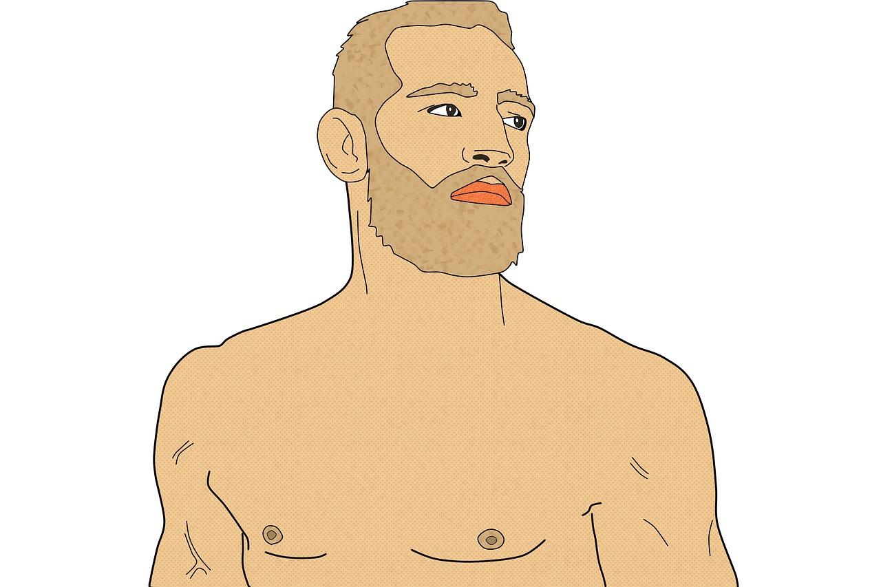What Martial Art Does Conor Mcgregor Know 
