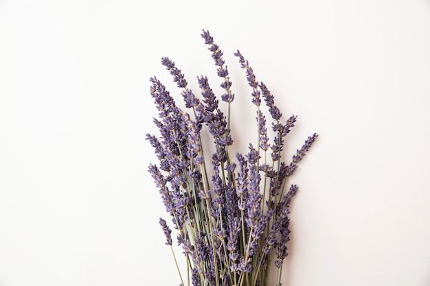  What Stores Sell Dried Lavender 