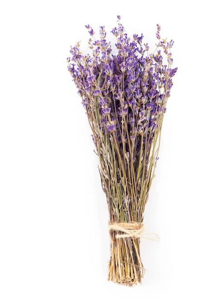  What Stores Sell Dried Lavender 