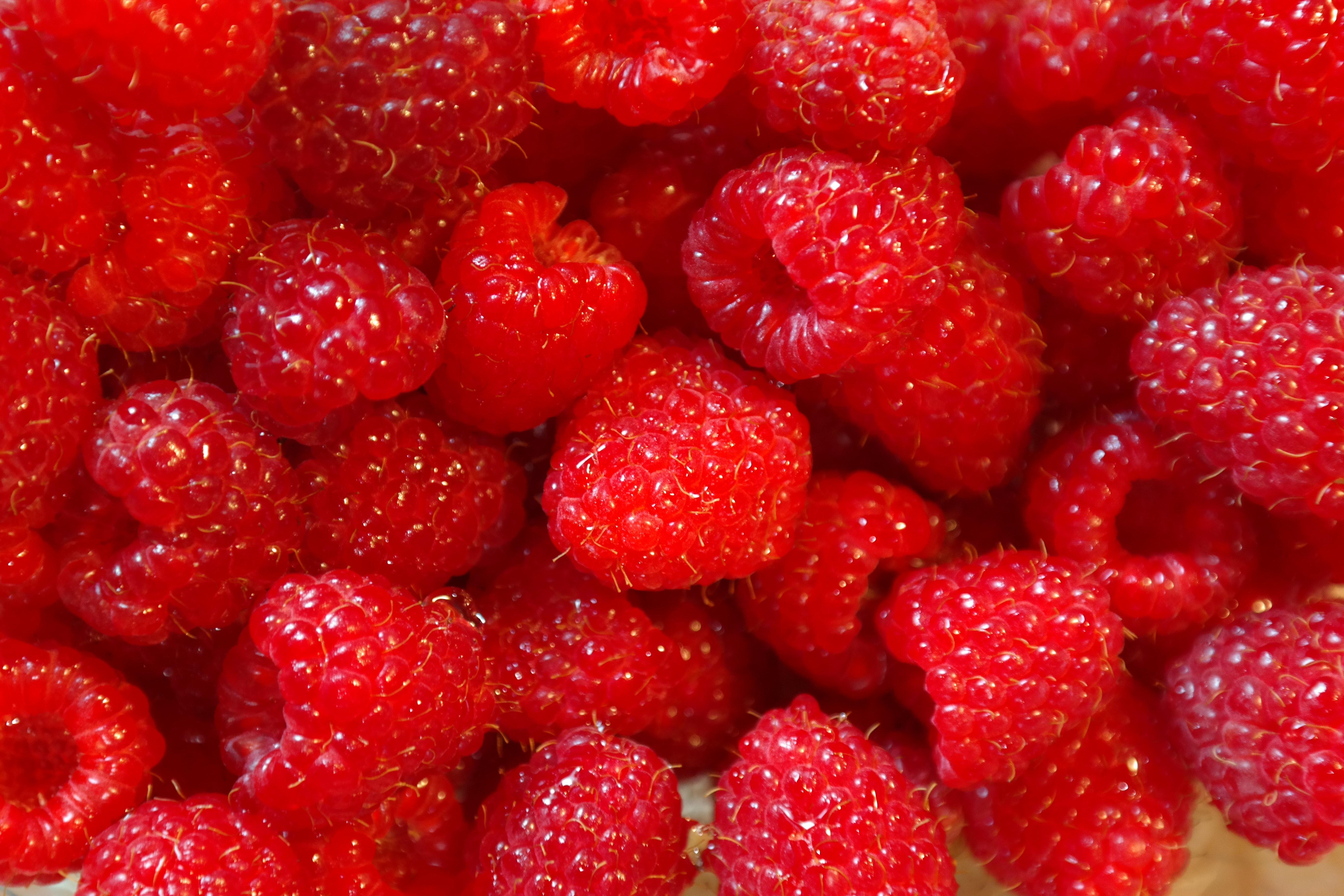 When To Plant Raspberries In Zone 5 