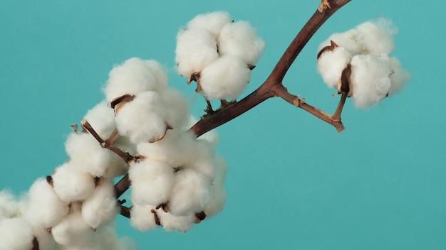  Why Are Cotton Balls Good Insulators 